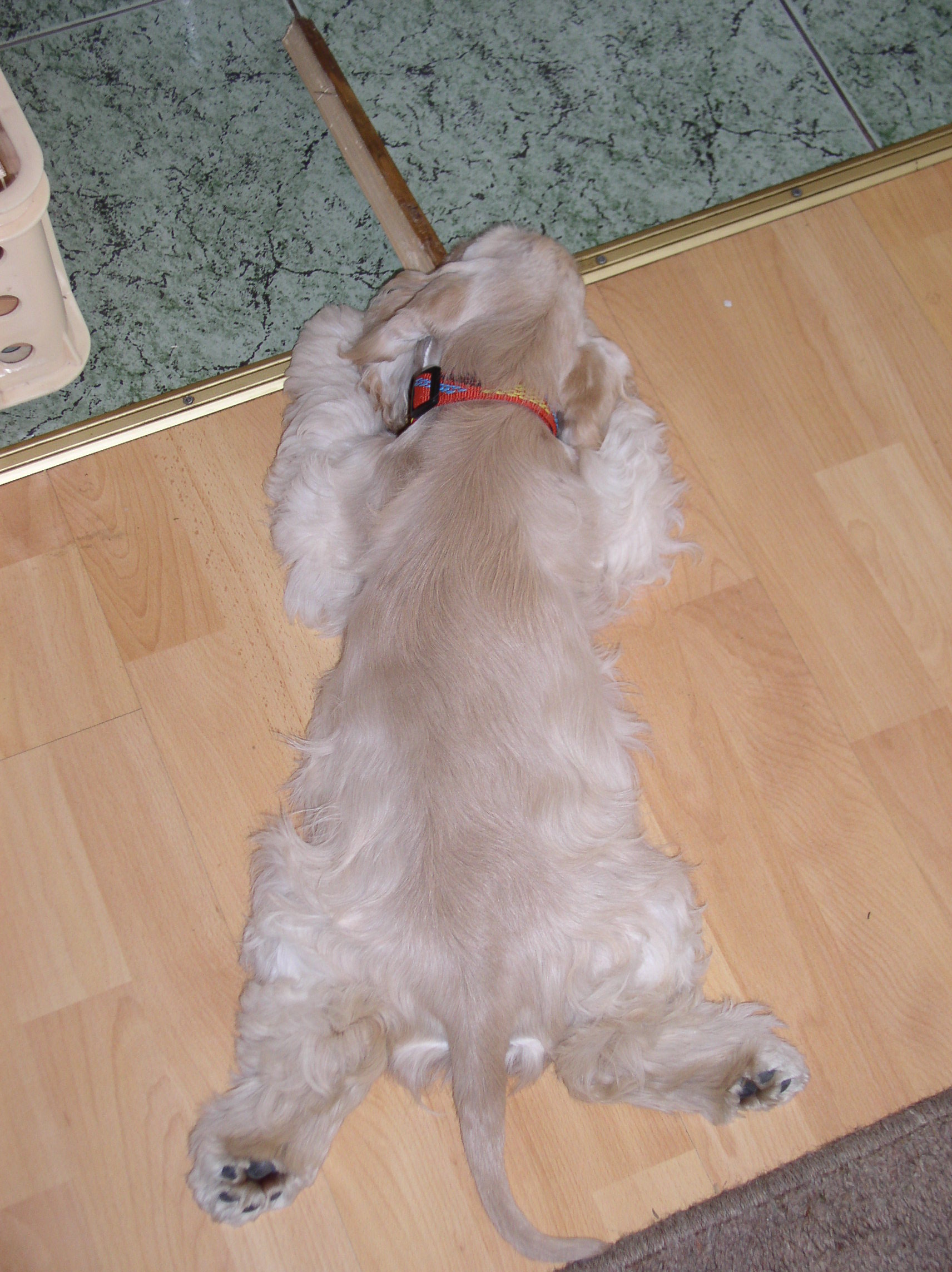 září 2006 073